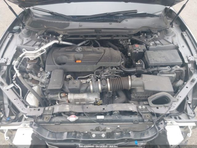 19UUB5F30PA006879 Acura Tlx Standard