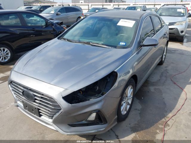5NPE24AA8JH705809 Hyundai SONATA ECO