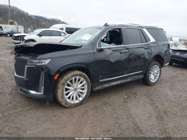 2024 CADILLAC ESCALADE 1GYS4AKLXRR116951 Photo 1
