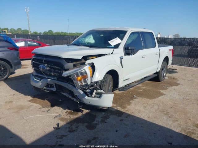 2023 FORD F-150 1FTFW1ED1PFA76408 Photo 1