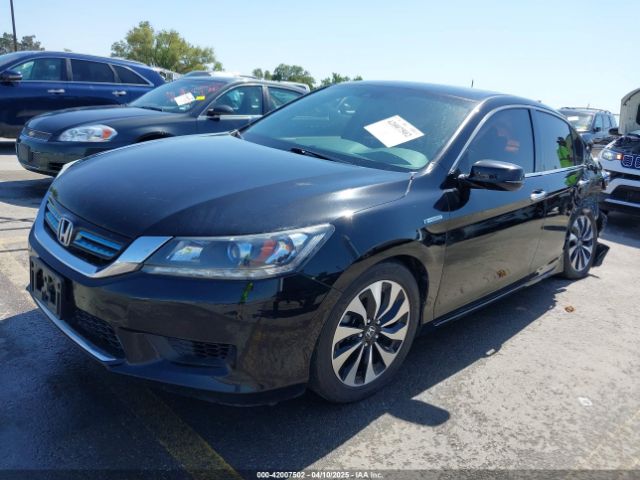 1HGCR6F50FA008600 Honda Accord Hybrid Ex-l