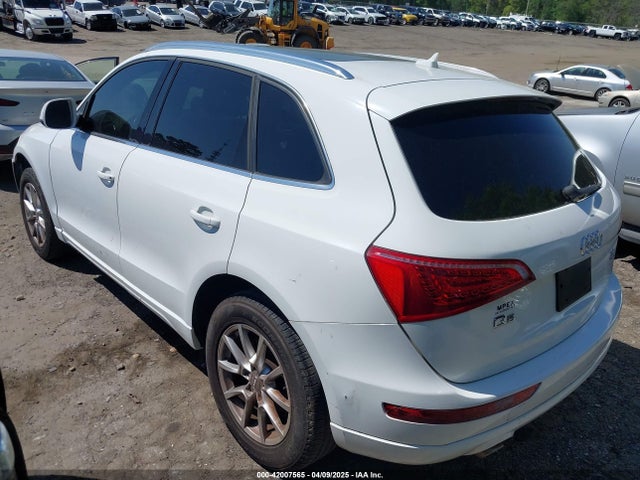 2010 AUDI Q5 WA1LKAFP9AA066750 Photo 2