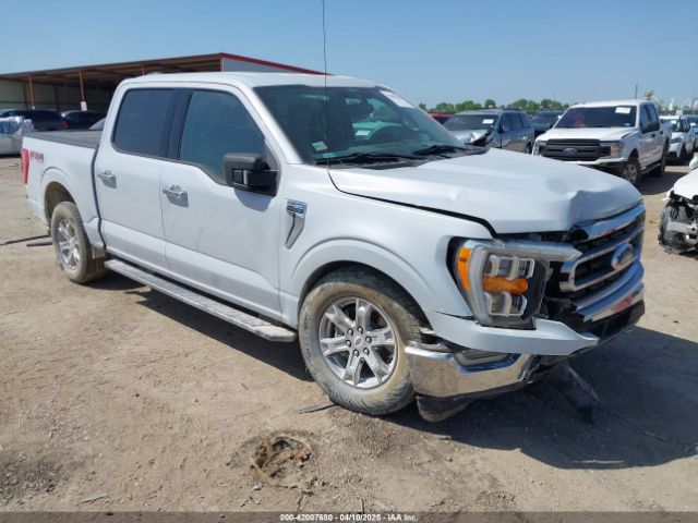 2021 FORD F-150 1FTFW1E86MKD90402