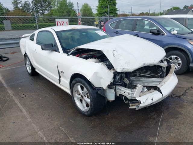 2006 FORD MUSTANG 1ZVFT82H865246421