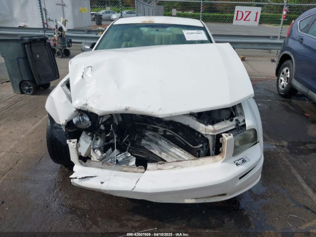 2006 FORD MUSTANG 1ZVFT82H865246421 Photo 9