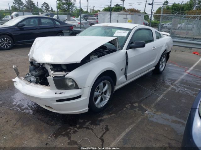 2006 FORD MUSTANG 1ZVFT82H865246421 Photo 1