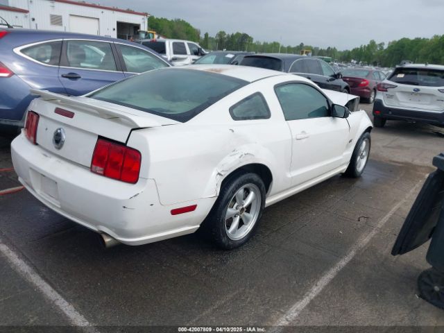 2006 FORD MUSTANG 1ZVFT82H865246421 Photo 3