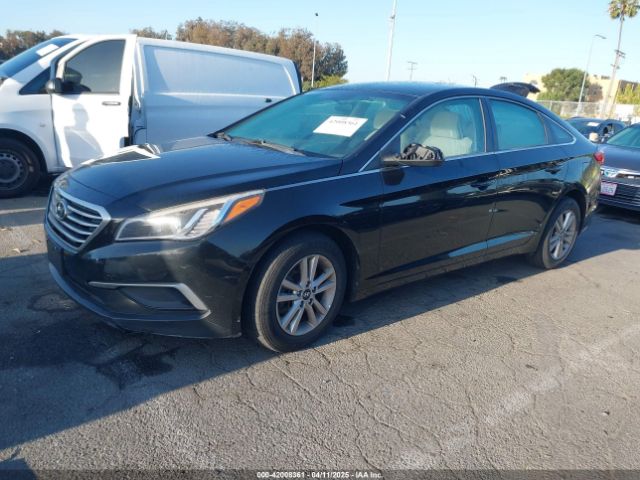 5NPE24AF4GH400098 Hyundai Sonata