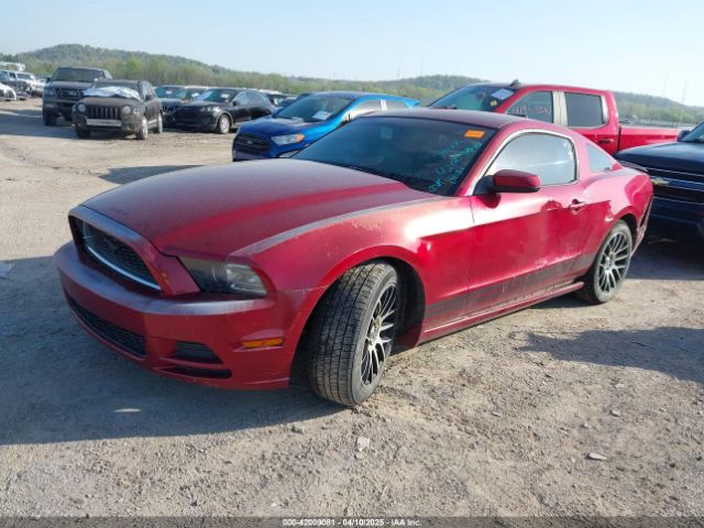 1ZVBP8AM2E5229680 Ford Mustang V6 Premium