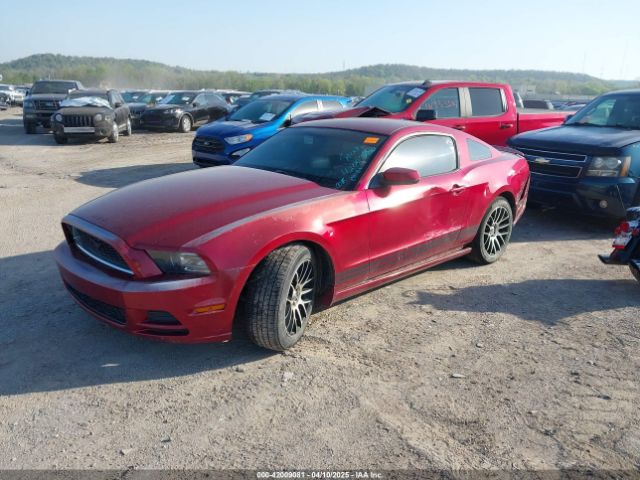 1ZVBP8AM2E5229680 Ford Mustang V6 Premium