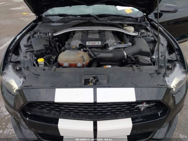 1FA6P8CF1H5333638 Ford Mustang Gt Premium