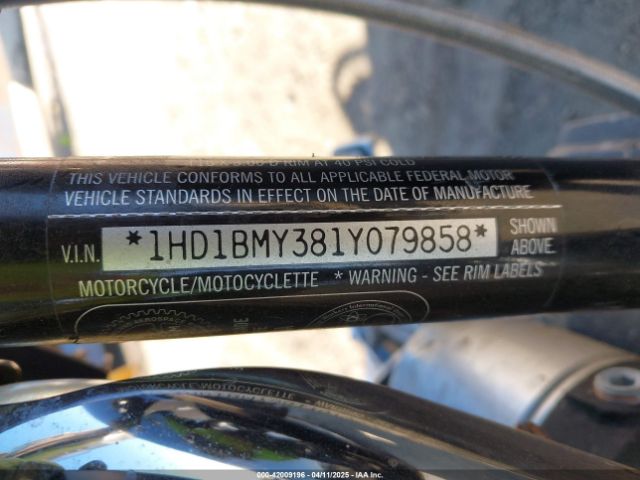 2001 HARLEY-DAVIDSON FLSTF 1HD1BMY381Y079858 Photo 9