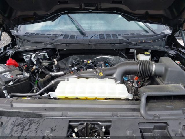 1FTEW3LP6RKE87902 Ford F-150 Xlt