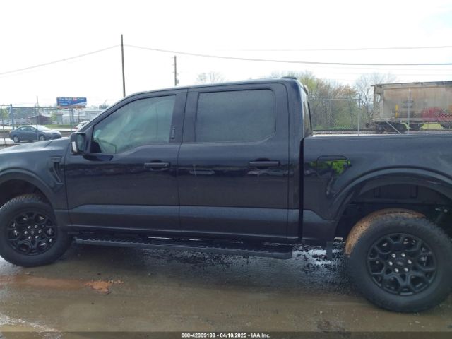 1FTEW3LP6RKE87902 Ford F-150 Xlt