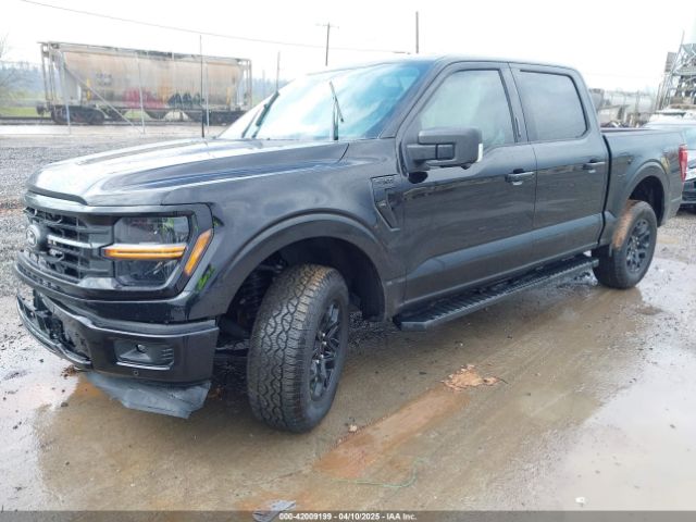 1FTEW3LP6RKE87902 Ford F-150 Xlt