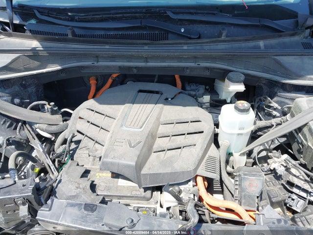 KNDCE3LG2L5067733 KIA Niro Ev Ex Premium