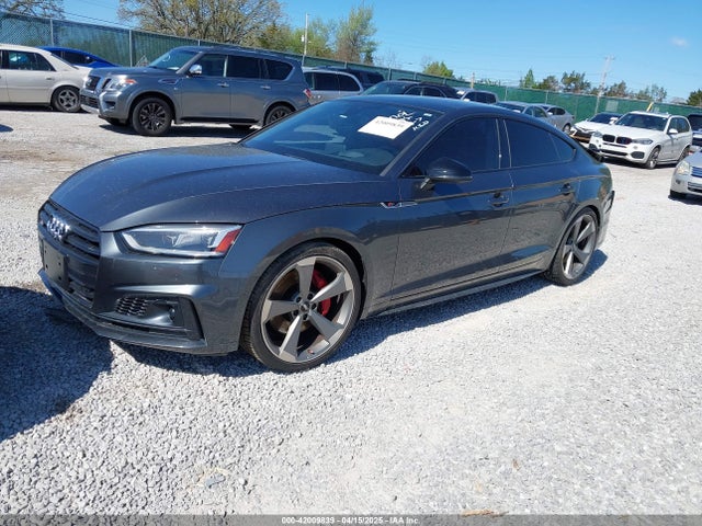 WAUC4CF50KA081064 Audi S5 3.0t Premium