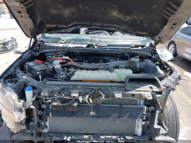 1FTFW3LDXRFA08772 Ford F-150 Xlt