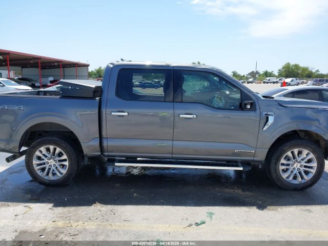1FTFW3LDXRFA08772 Ford F-150 Xlt