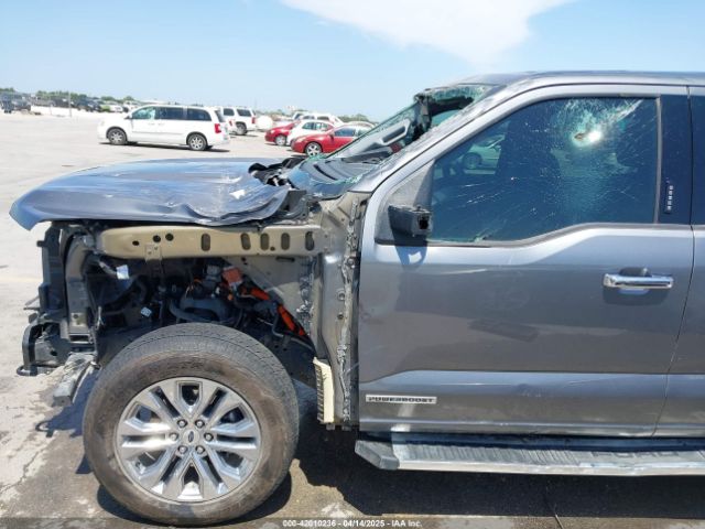 1FTFW3LDXRFA08772 Ford F-150 Xlt