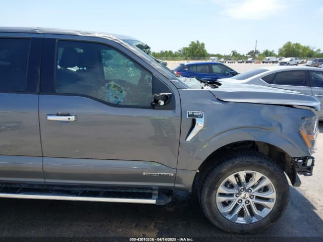 1FTFW3LDXRFA08772 Ford F-150 Xlt