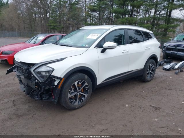 KNDPVCAG3P7105565 KIA Sportage Hybrid Ex