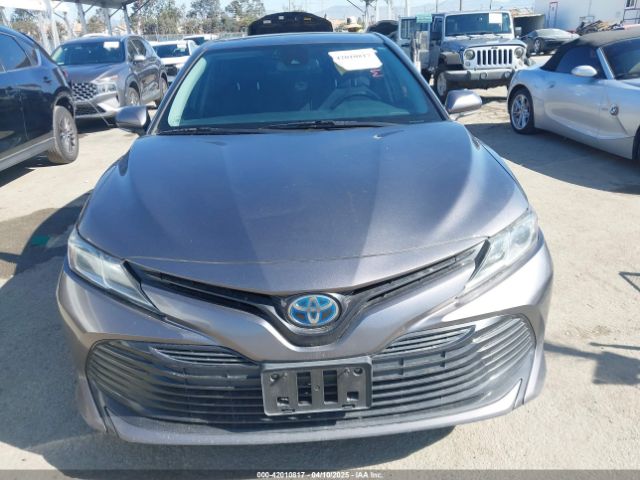 4T1B31HK9JU502409 Toyota Camry Hybrid Le