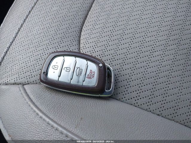 5NPD84LF7HH018687 Hyundai Elantra Limited