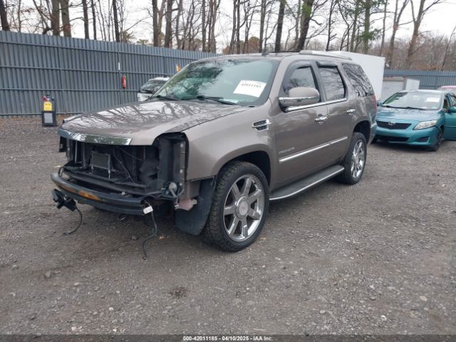 2012 CADILLAC ESCALADE 1GYS4BEF7CR210885 Photo 1