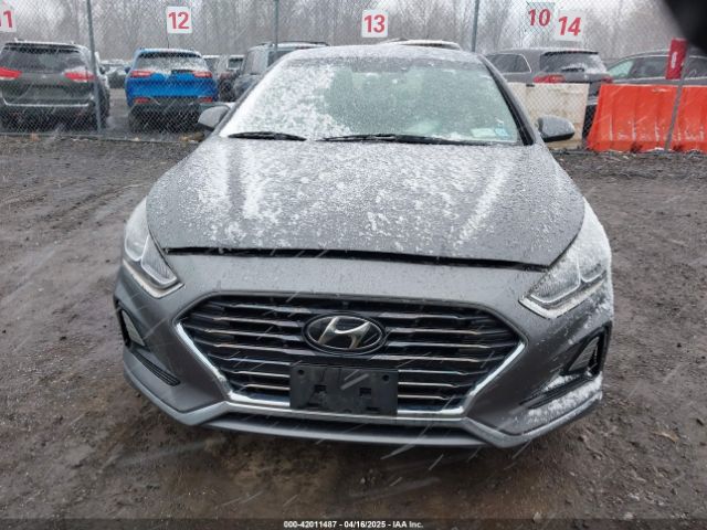 5NPE24AF3KH798980 Hyundai SONATA SE