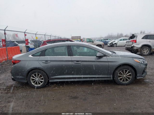 5NPE24AF3KH798980 Hyundai SONATA SE
