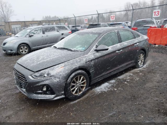5NPE24AF3KH798980 Hyundai SONATA SE