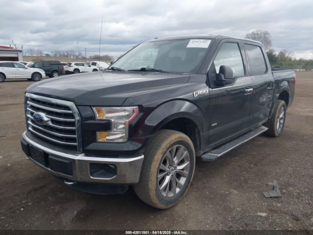 1FTEW1EP6FFA91667 Ford F-150 Xlt