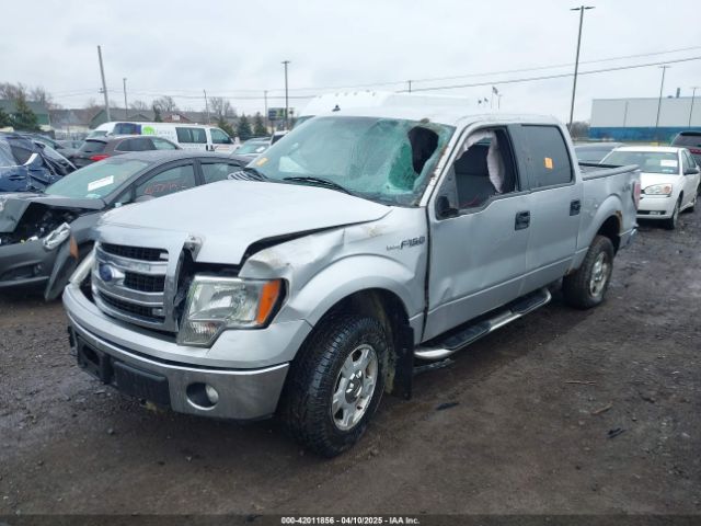 1FTFW1EFXEKF79876 Ford F-150 Xlt