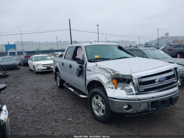1FTFW1EFXEKF79876 Ford F-150 Xlt