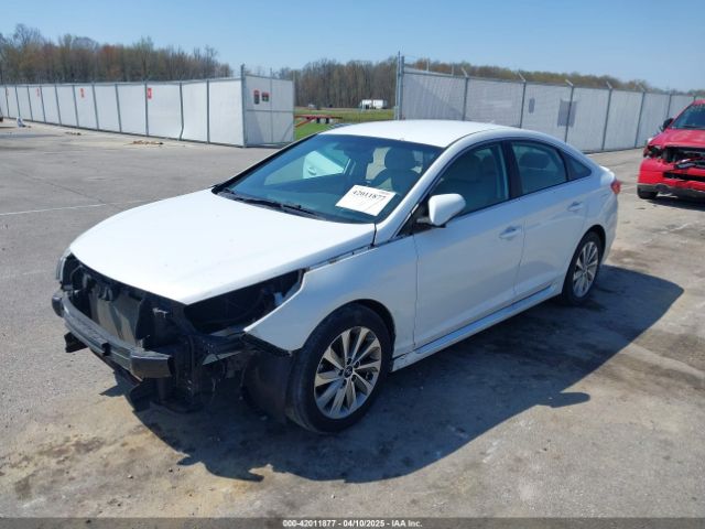5NPE34AF7FH074020 Hyundai Sonata Sport