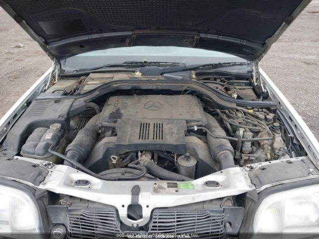 1994 MERCEDES-BENZ S WDBGA43E0RA162923 Photo 9