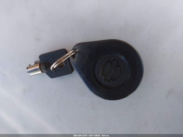 2021 HARLEY-DAVIDSON FLHX 1HD1KBC29MB646430 Photo 10