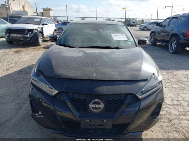 1N4AA6EV6PC506634 Nissan Maxima