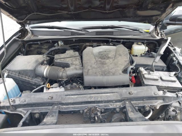 3TMCZ5AN5MM382104 Toyota Tacoma Trd Off-road