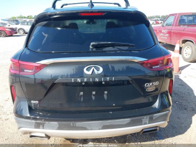 3PCAJ5M35KF119556 Infiniti Qx50 Luxe