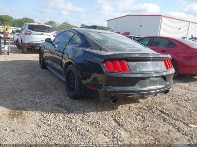1FA6P8AM8F5359779 Ford Mustang V6