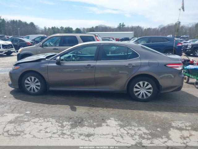 4T1B31HK0KU509265 Toyota Camry Hybrid Le