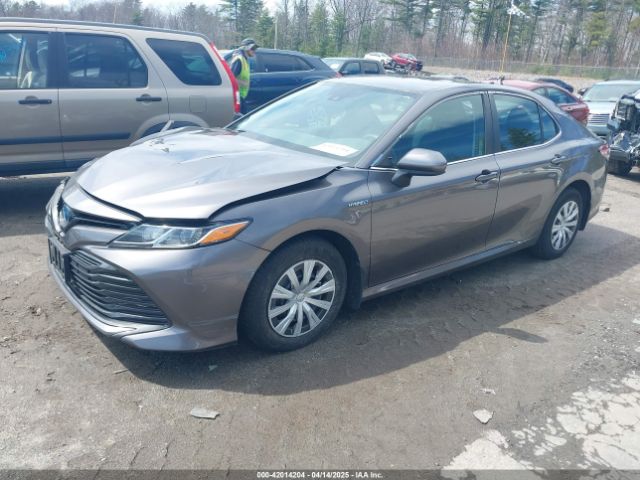 4T1B31HK0KU509265 Toyota Camry Hybrid Le