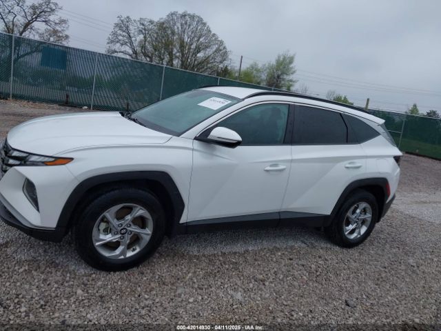 5NMJBCAE3PH214971 Hyundai TUCSON SEL