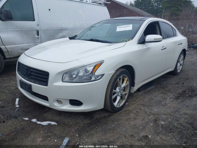 1N4AA5AP5EC909115 Nissan Maxima 3.5 Sv