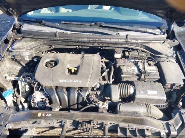 5NPD84LF7HH023548 Hyundai ELANTRA SE