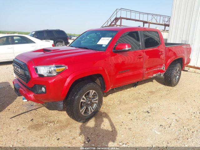 5TFCZ5AN8HX117919 Toyota Tacoma Trd Sport