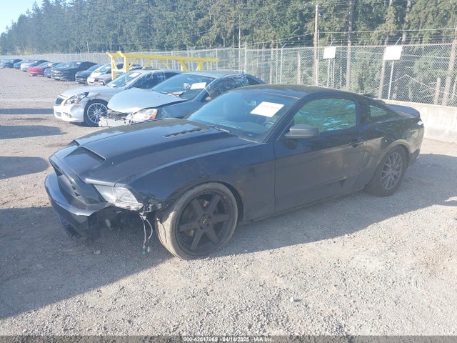 1ZVBP8AM1E5229153 Ford Mustang V6