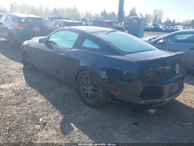 1ZVBP8AM1E5229153 Ford Mustang V6